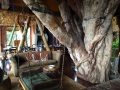 tanzania_10