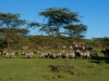 tanzania_4